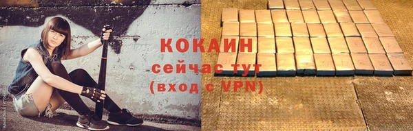 ГАЛЛЮЦИНОГЕННЫЕ ГРИБЫ Абаза