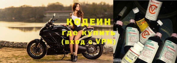ГАЛЛЮЦИНОГЕННЫЕ ГРИБЫ Абаза