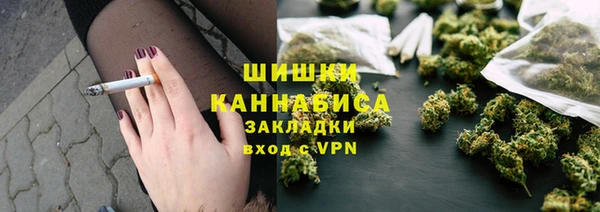 ГАЛЛЮЦИНОГЕННЫЕ ГРИБЫ Абаза